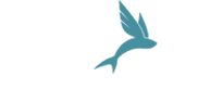 Bröker + Partner